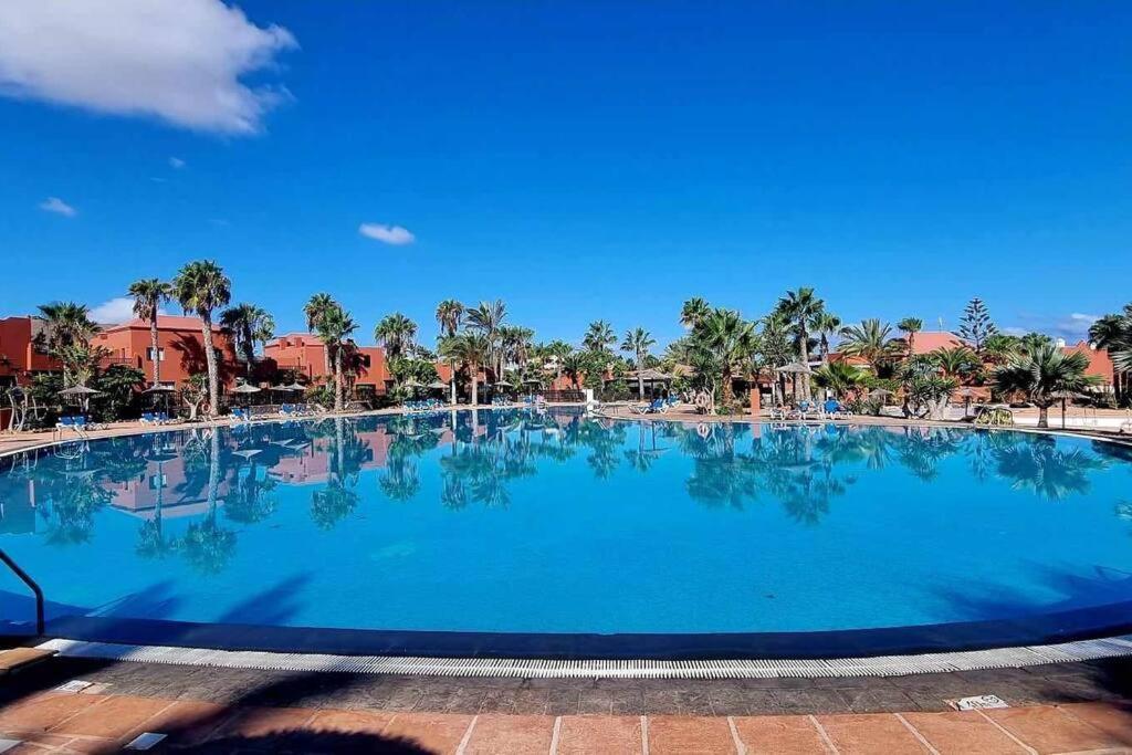 Appartamento Bouganville Con Terrazza E Piscina Corralejo Dış mekan fotoğraf