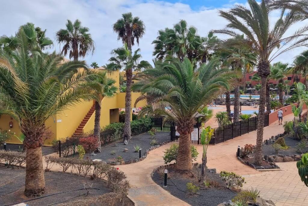 Appartamento Bouganville Con Terrazza E Piscina Corralejo Dış mekan fotoğraf